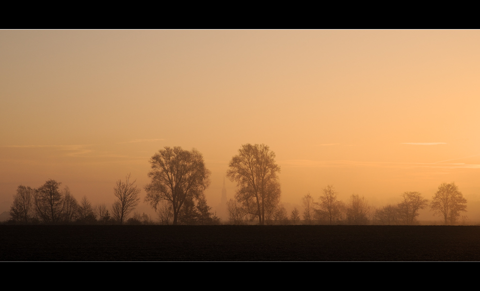 orange morning...