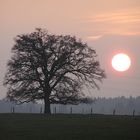 Orange on the sky