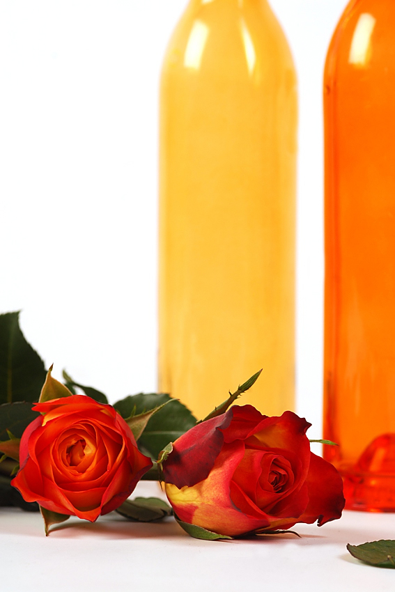 orange rose...