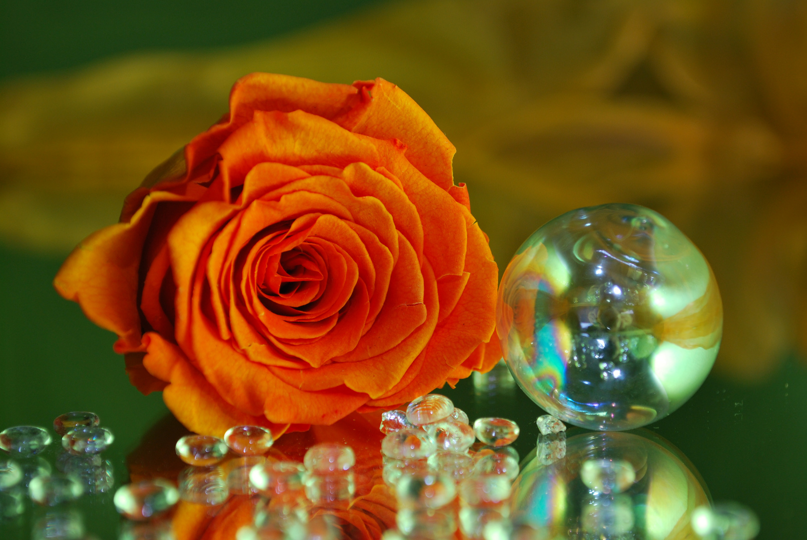 Orange Rose