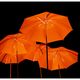 Orange Schirme im Park