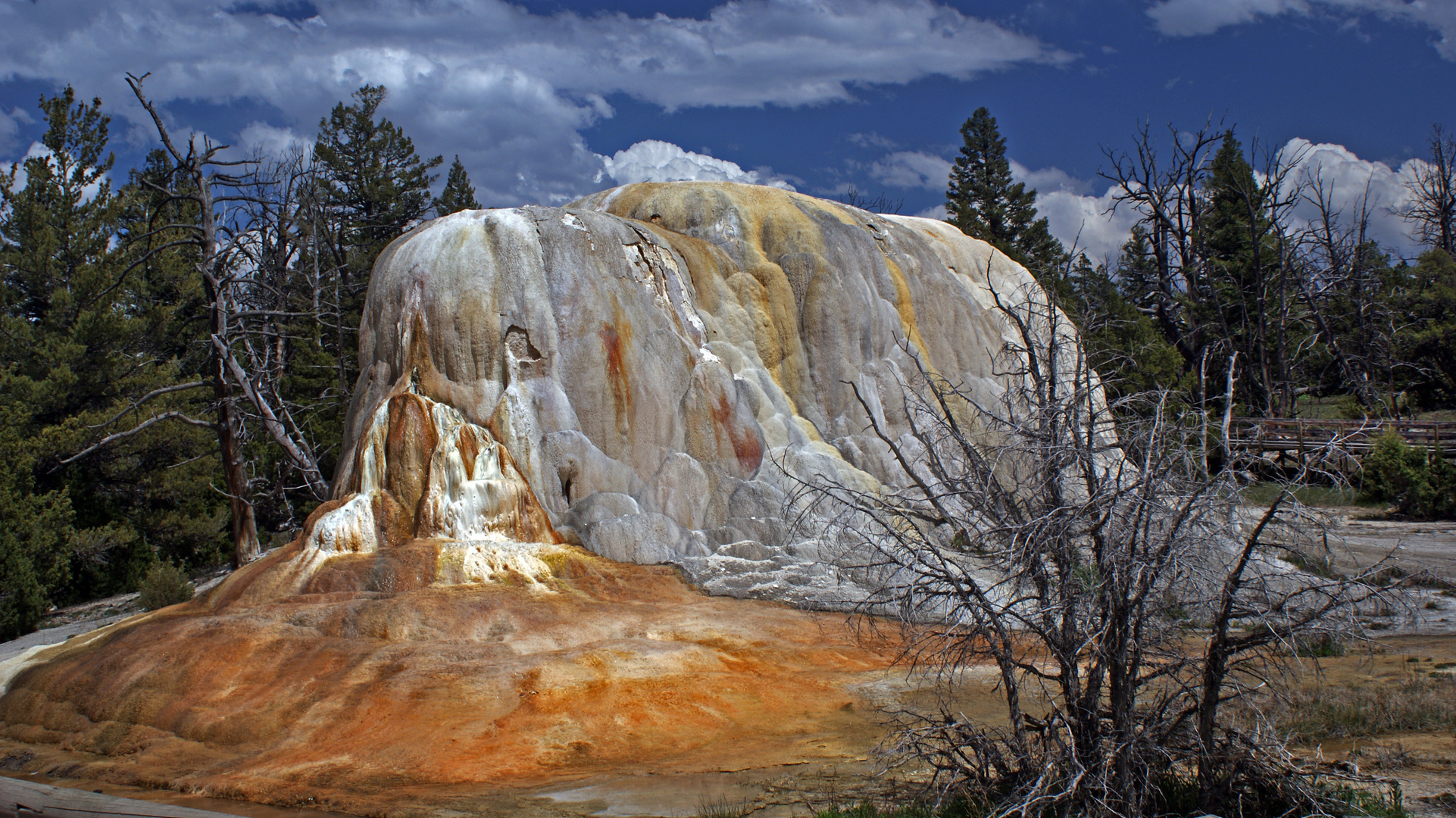 Orange Spring Mouth