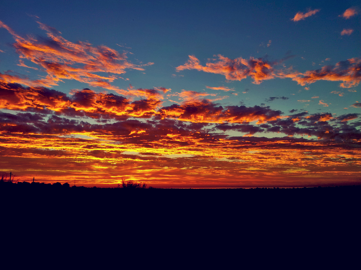 Orange sunrise