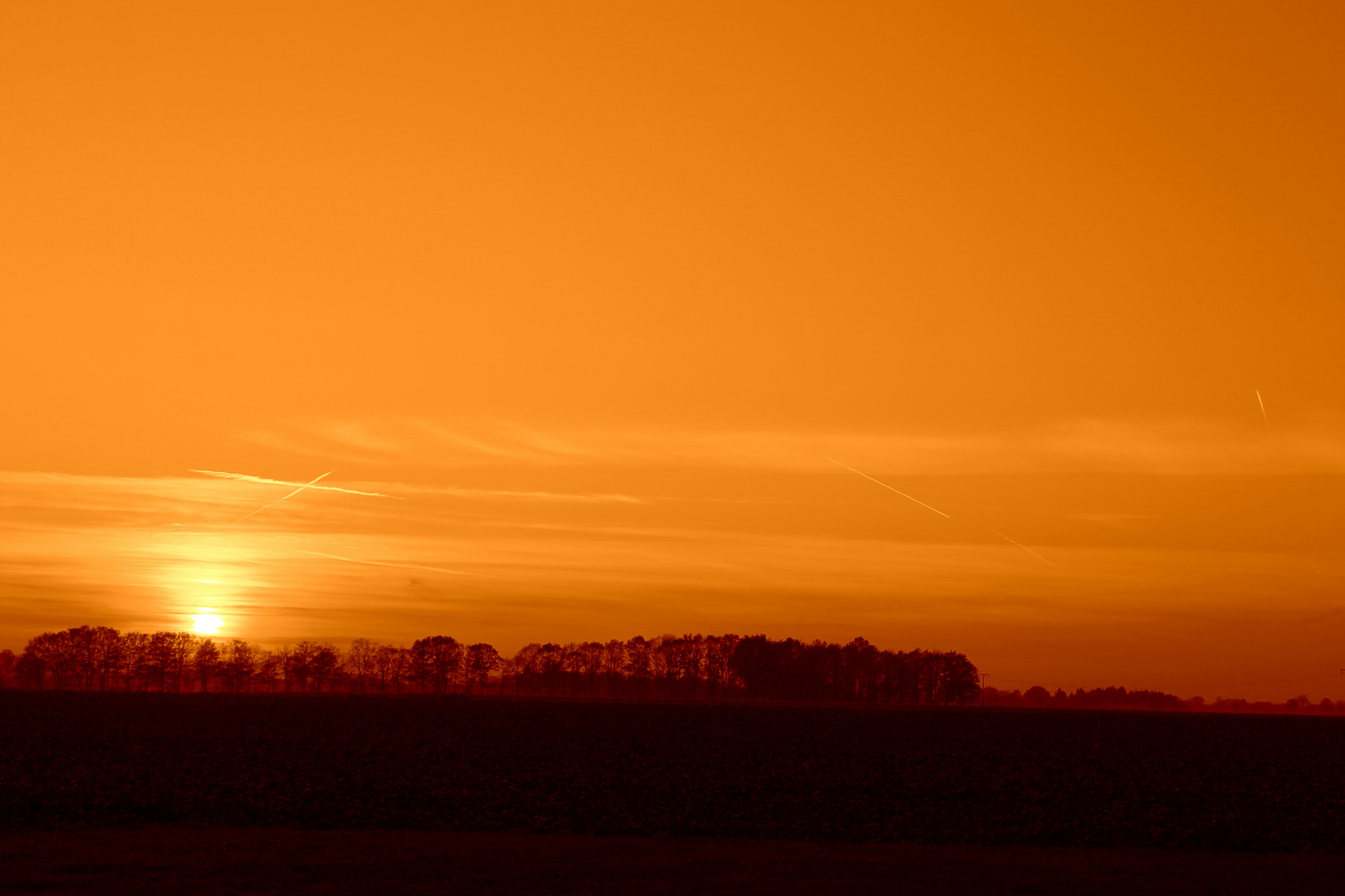 Orange sunset