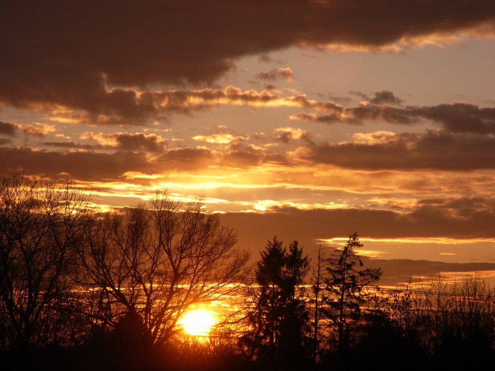 Orange Sunset