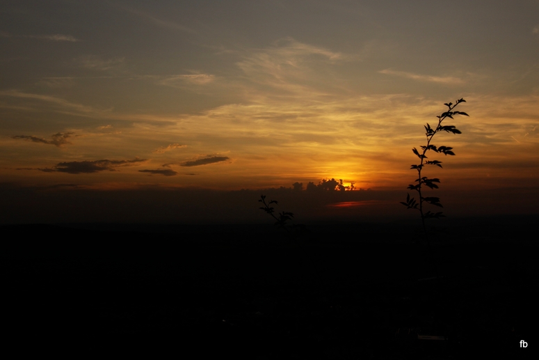 Orange Sunset