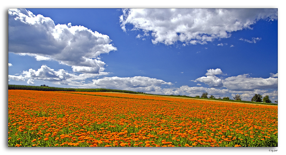 Orange trifft Blau