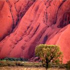 orange Uluru2