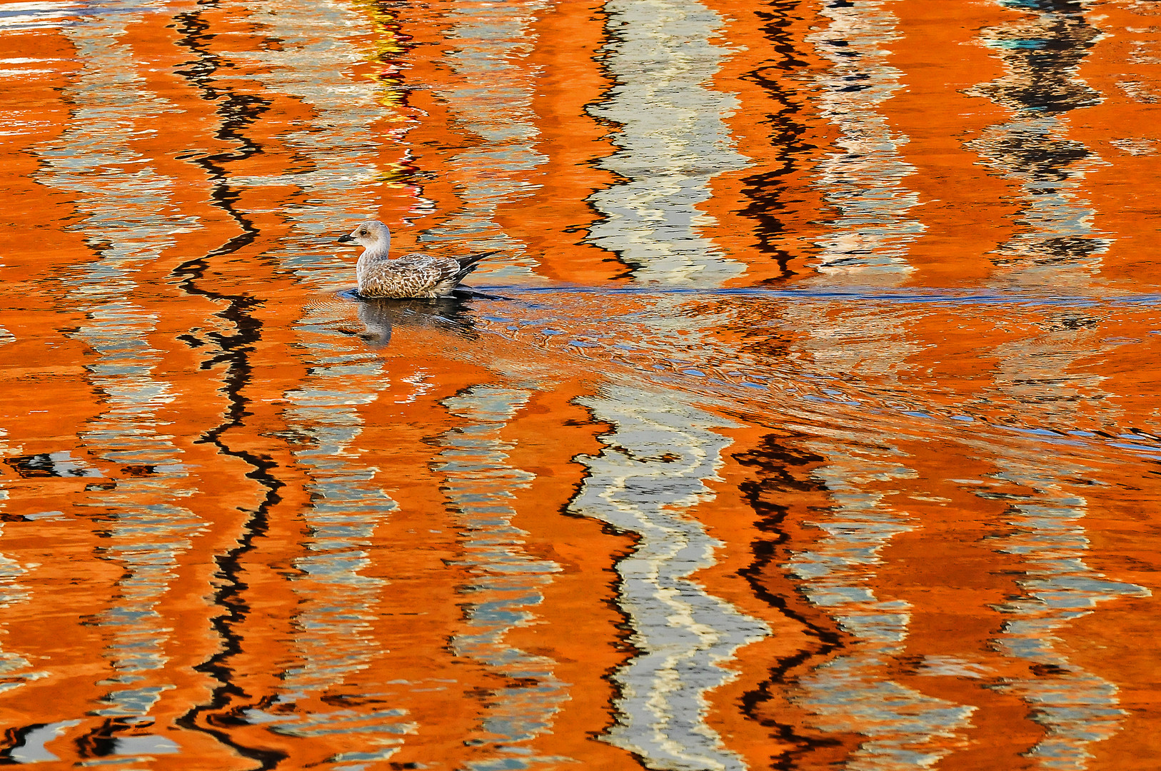 Orange Water