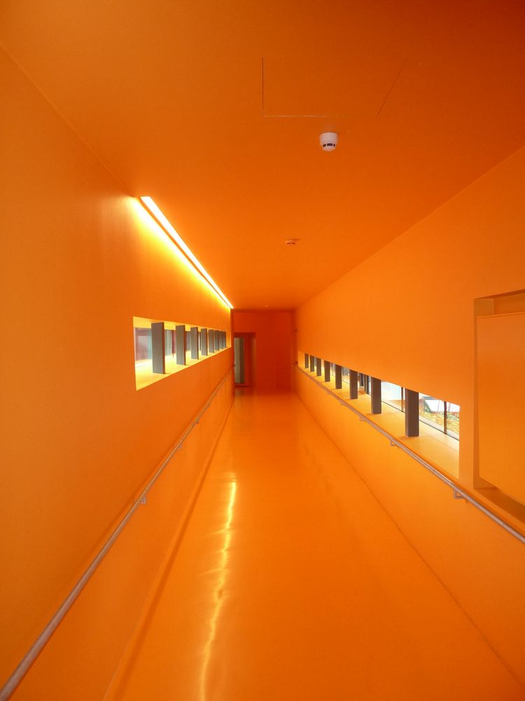 Orange Way