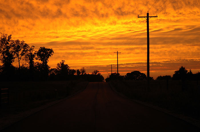 Orange you glad for sunsets!