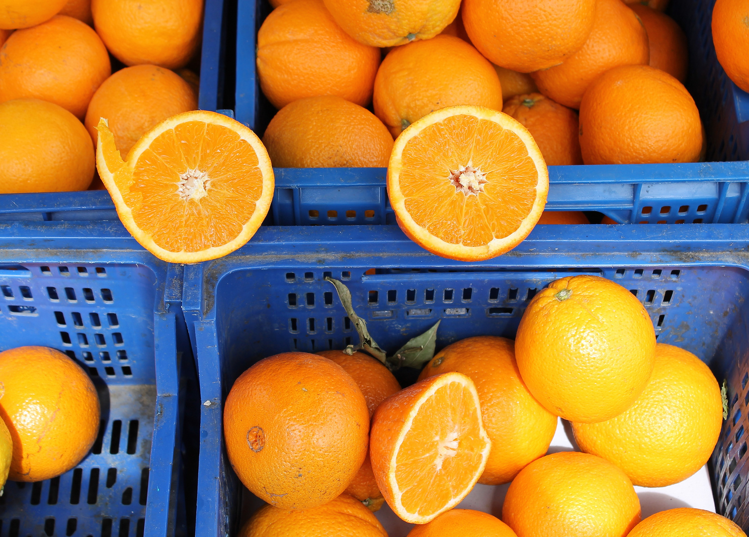Orangen am Markt