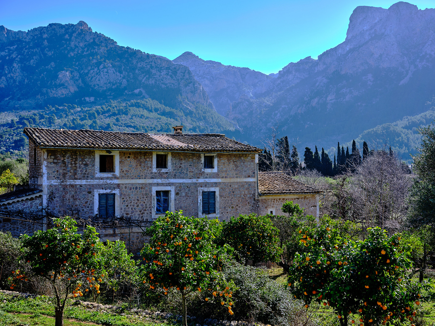 Orangen bei Soller