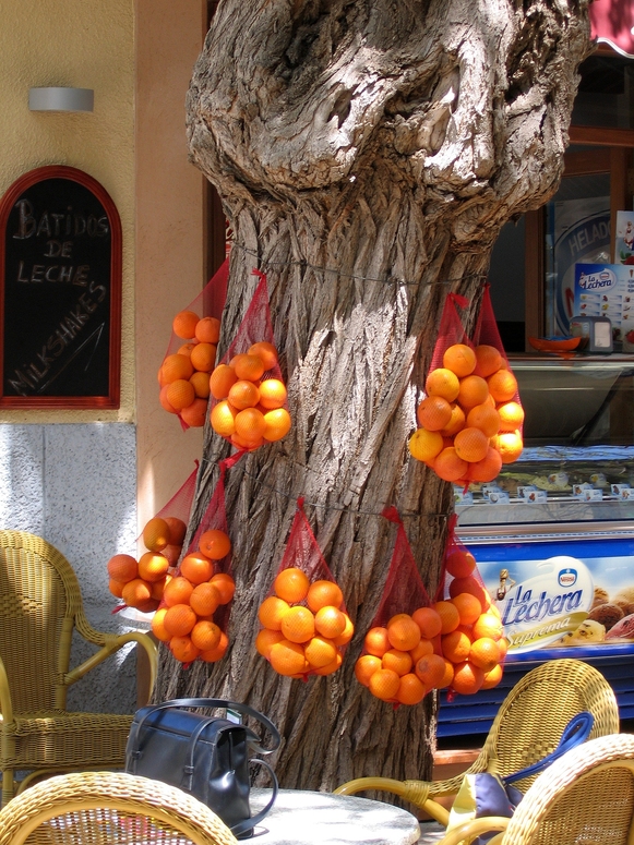 Orangen originell feilgeboten in Valdemossa