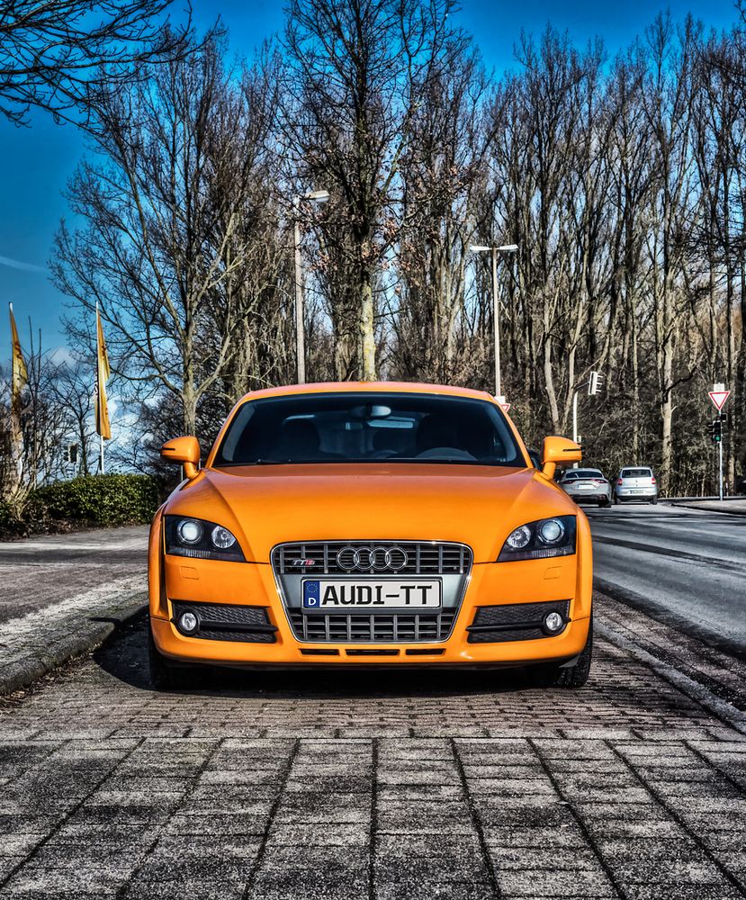 Orangenaudi 1