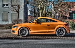 Orangenaudi 2