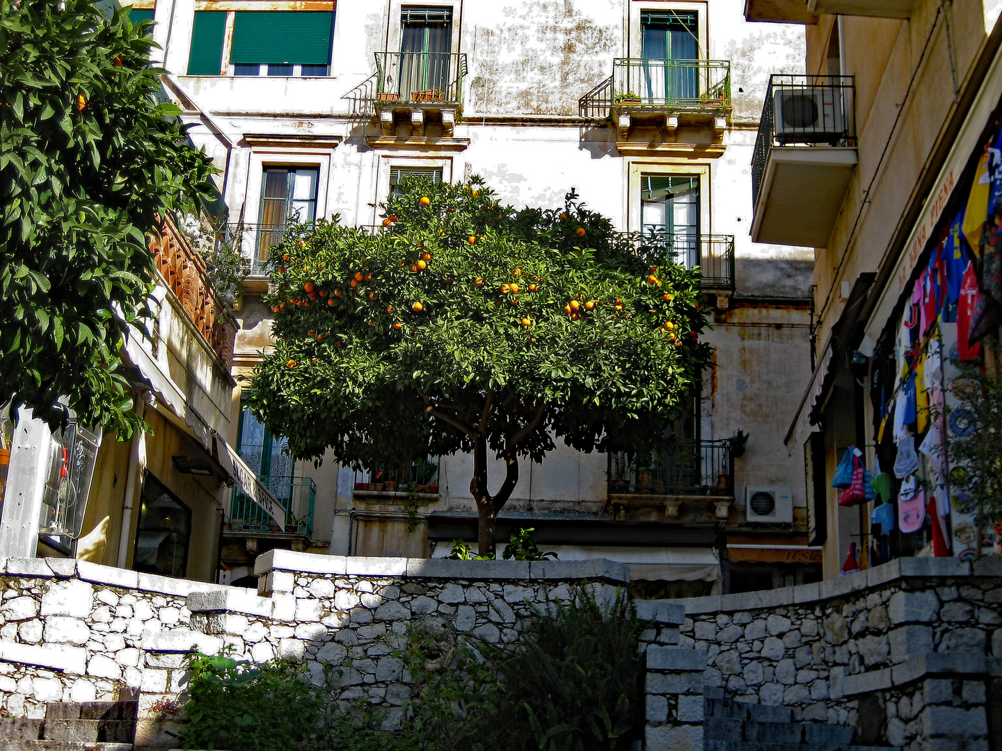 Orangenbaum in Taormina