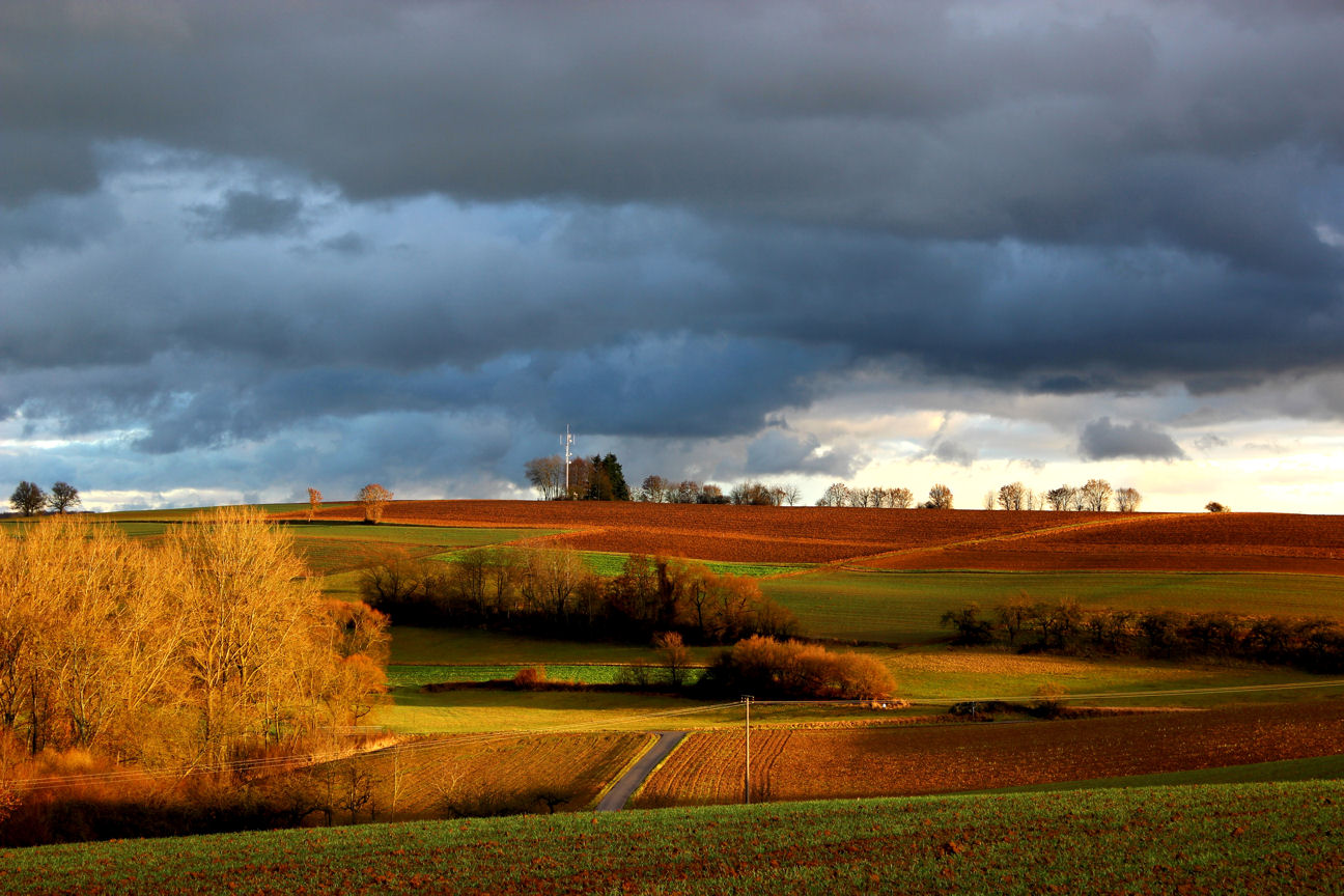 Orangene Feld :)