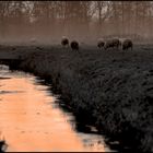 Orangeneblige Stimmung bei Sonnenuntergang