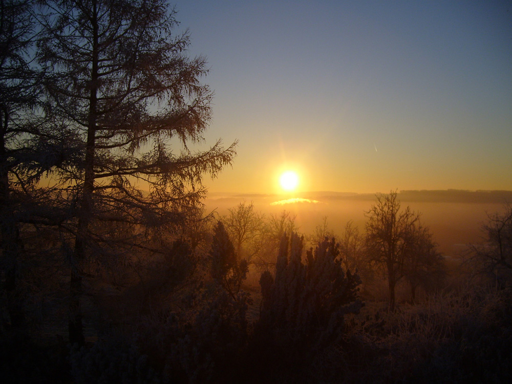 Orangeneis am Morgen