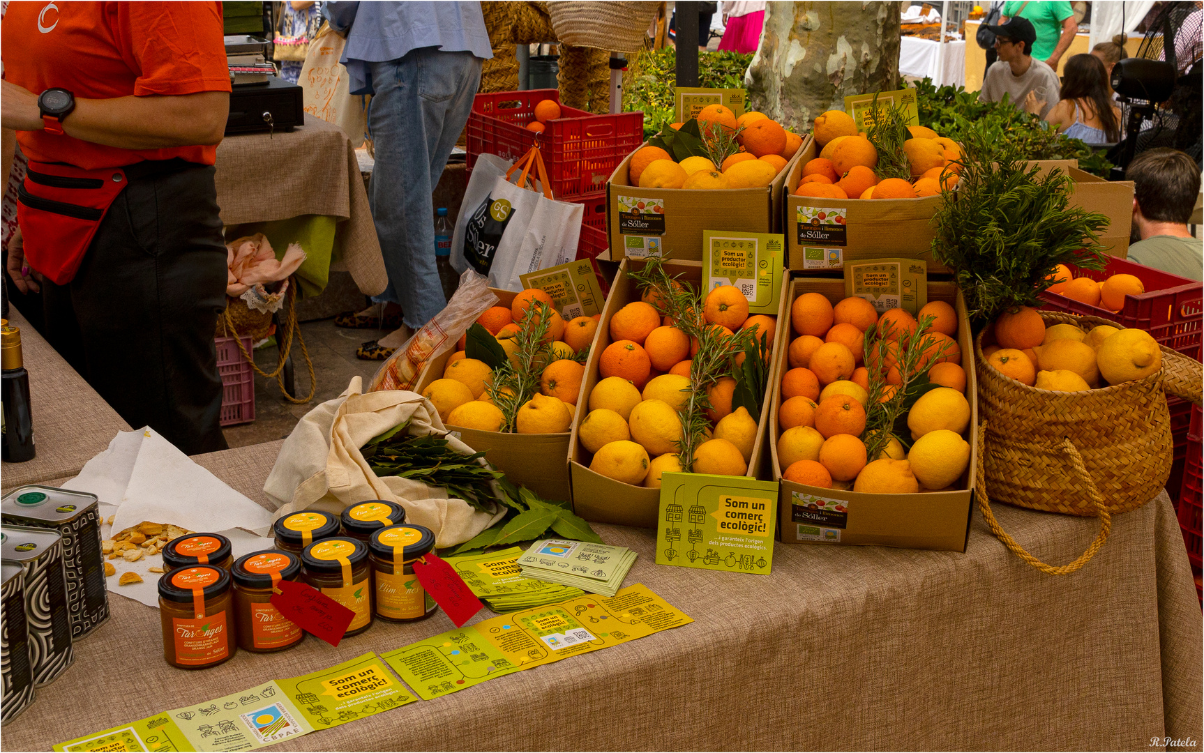 Orangenfest in Soller