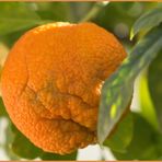 Orangenhaut...