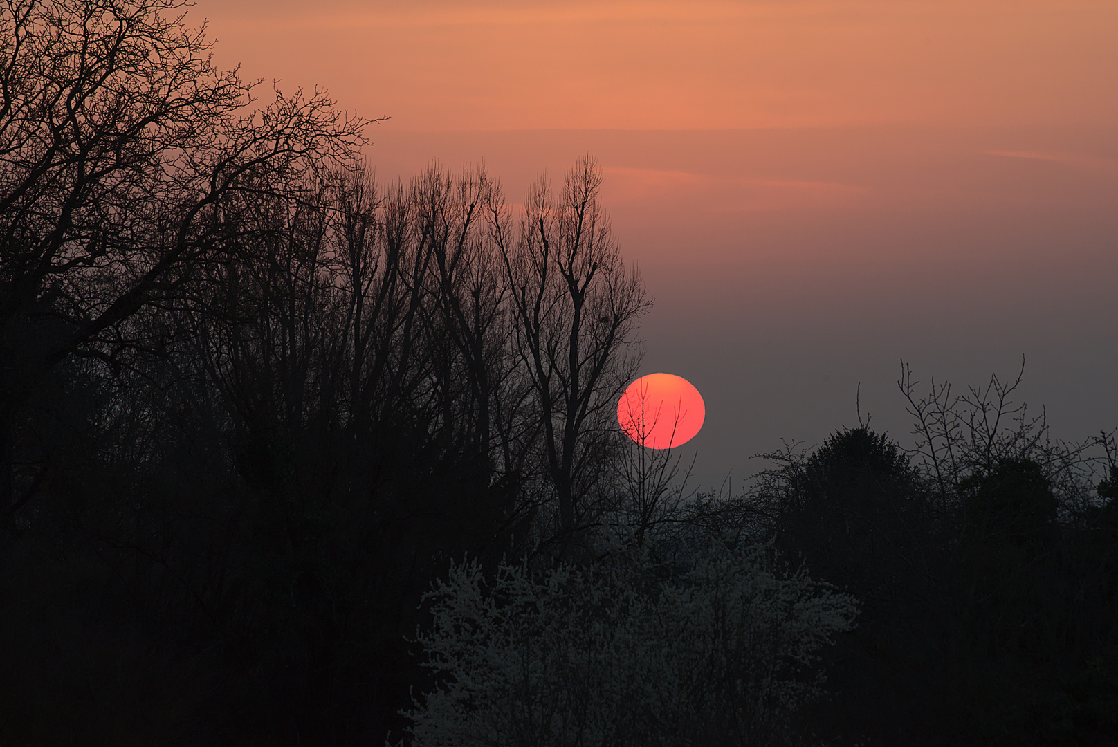 Orangenuntergang