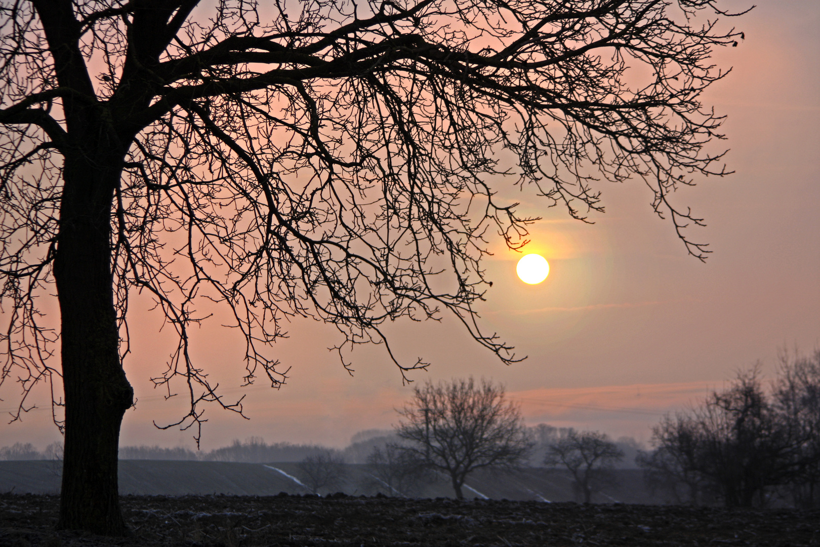 oranger Morgen