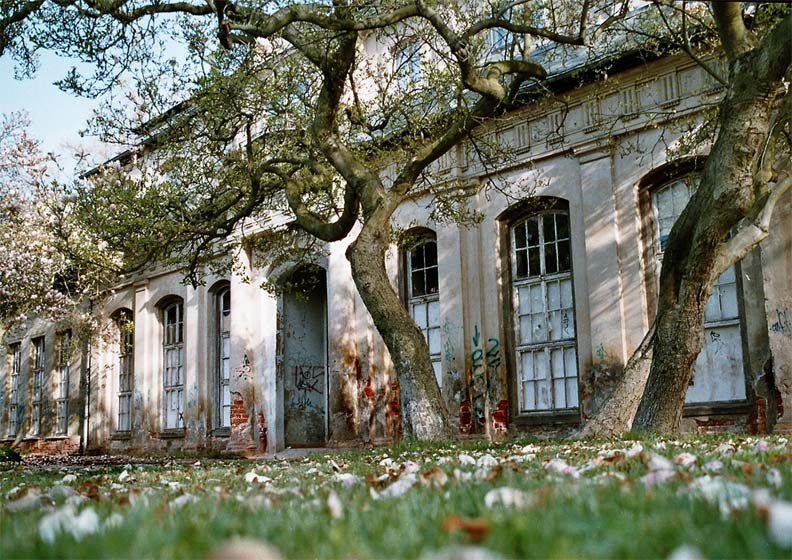 Orangerie von Bine M