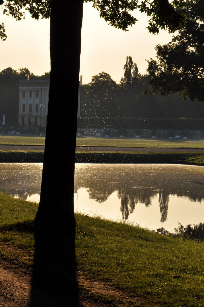 Orangerie am Morgen