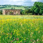 "Orangerie and Meadow"