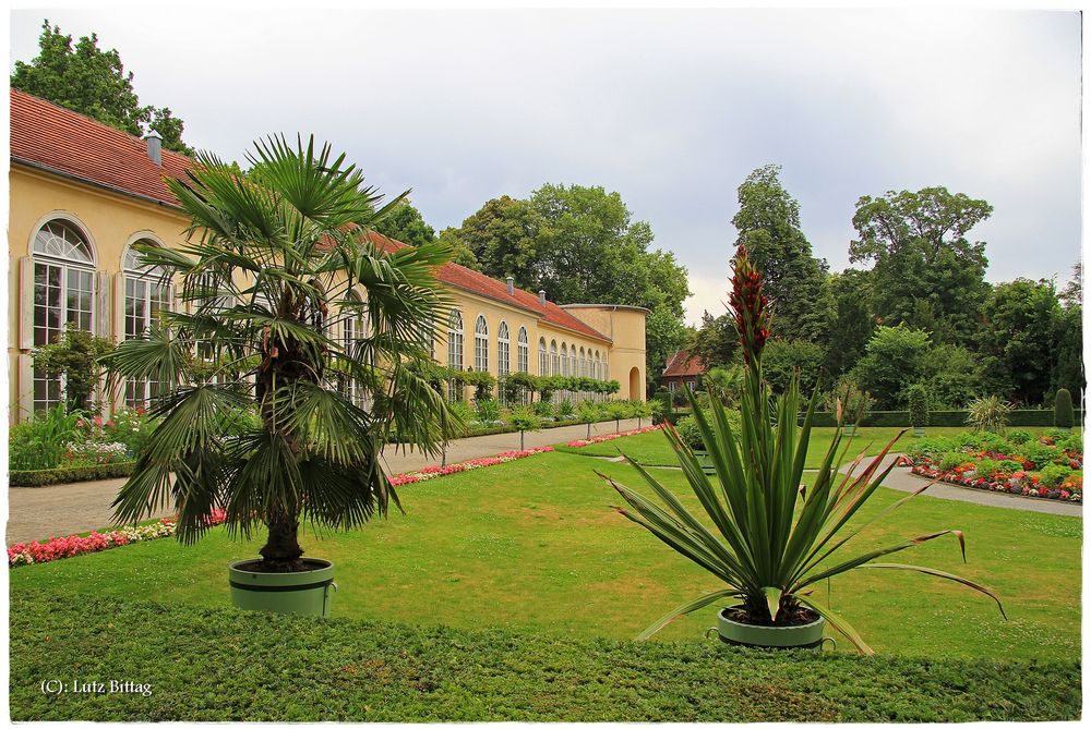 Orangerie im Neuen Garten von Potsdam Foto & Bild park, world, regen