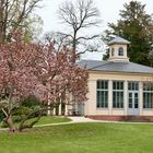 Orangerie im Sarasin Park