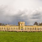 Orangerie in der Karlsaue