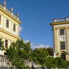 Orangerie Kassel