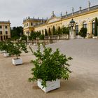 Orangerie Kassel