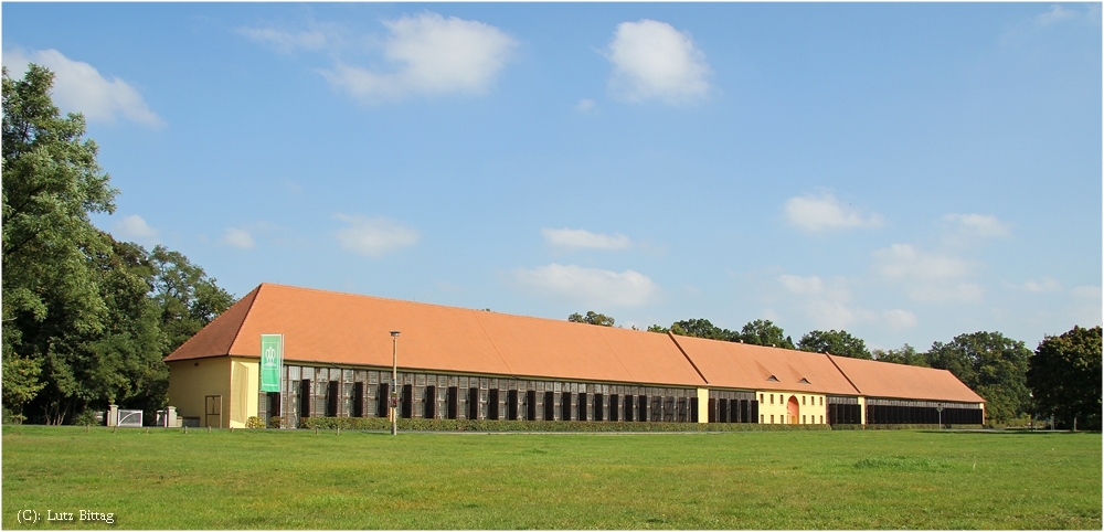 Orangerie Oranienbaum