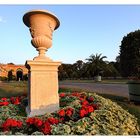 Orangerie Potsdam - Vase (überarbeitet)