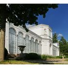 Orangerie Putbus