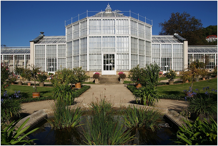 Orangerie Schloss Pillnitz