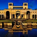 Orangerie Startseite