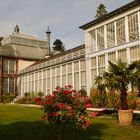 Orangerie Wilhelmshöhe