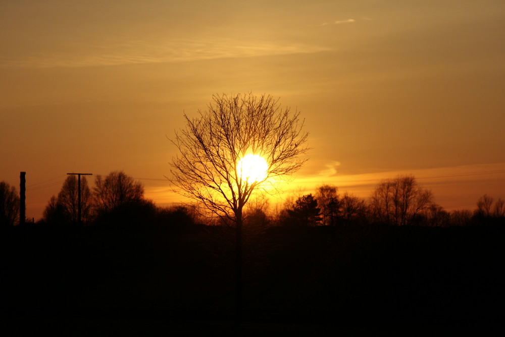 orangerot und gelb