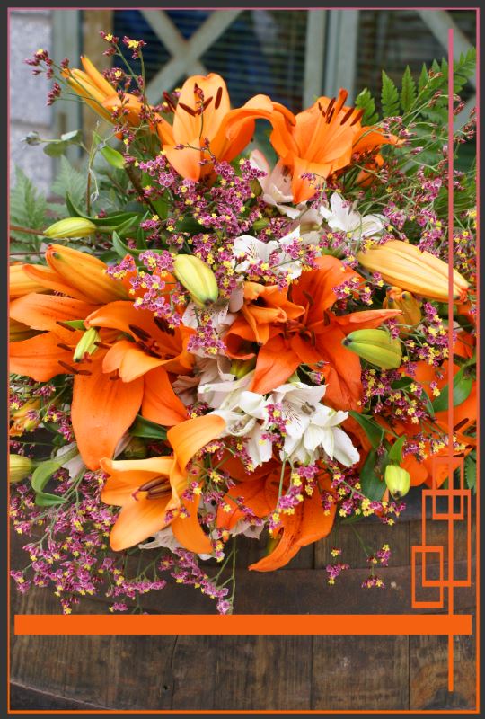 Oranges Blumenfeuerwerk