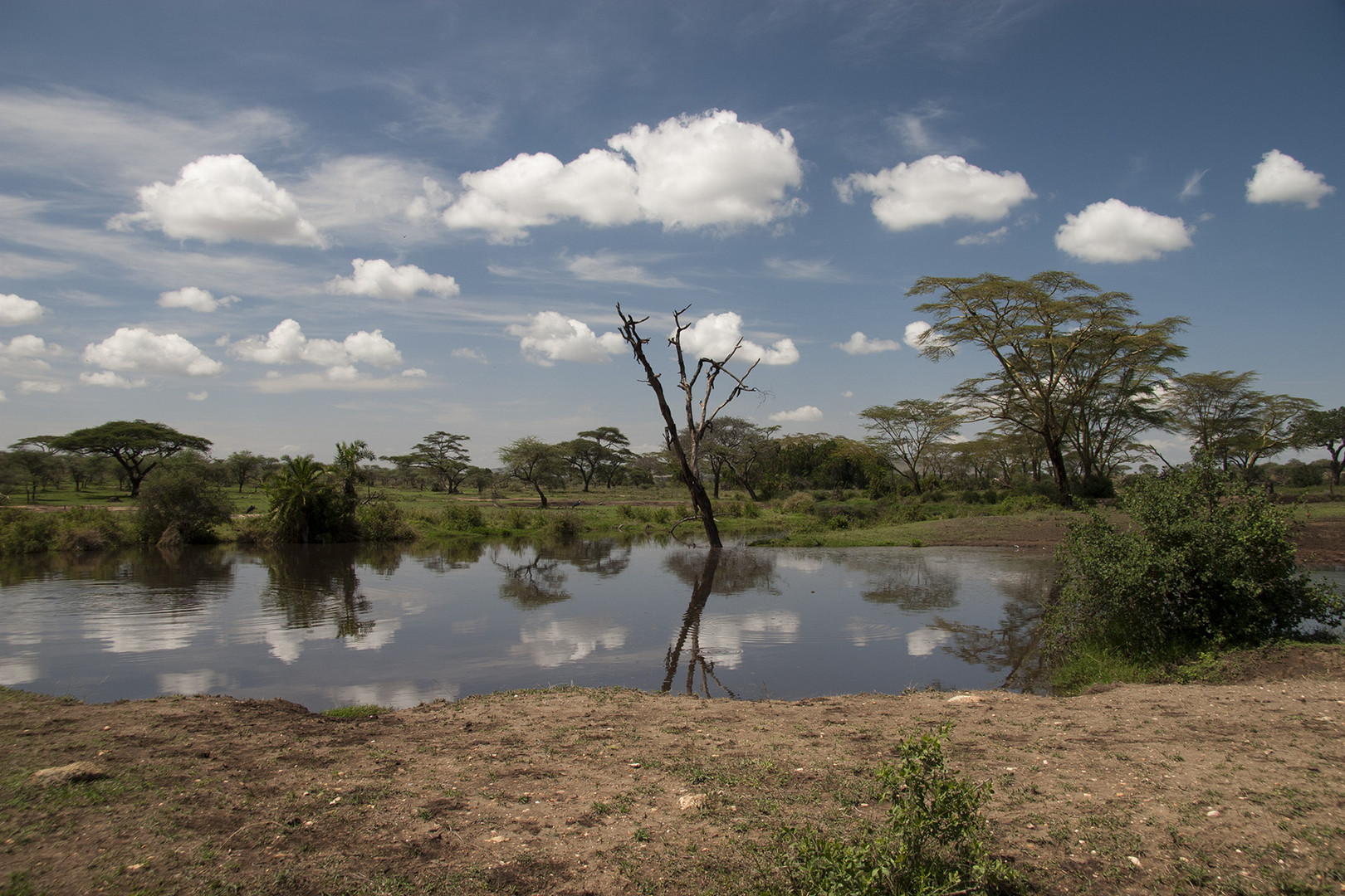 Orangi River