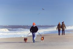 oranje auf Sylt