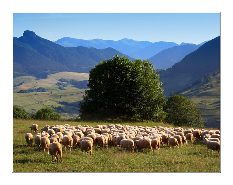 pic Slowakei Landschaft orava eine landschaft in der slowakei