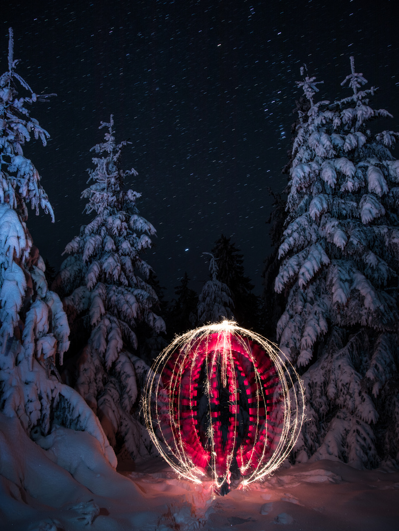 Orb im Schnee