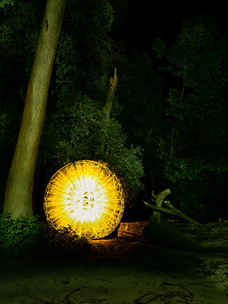 Orb im Wald