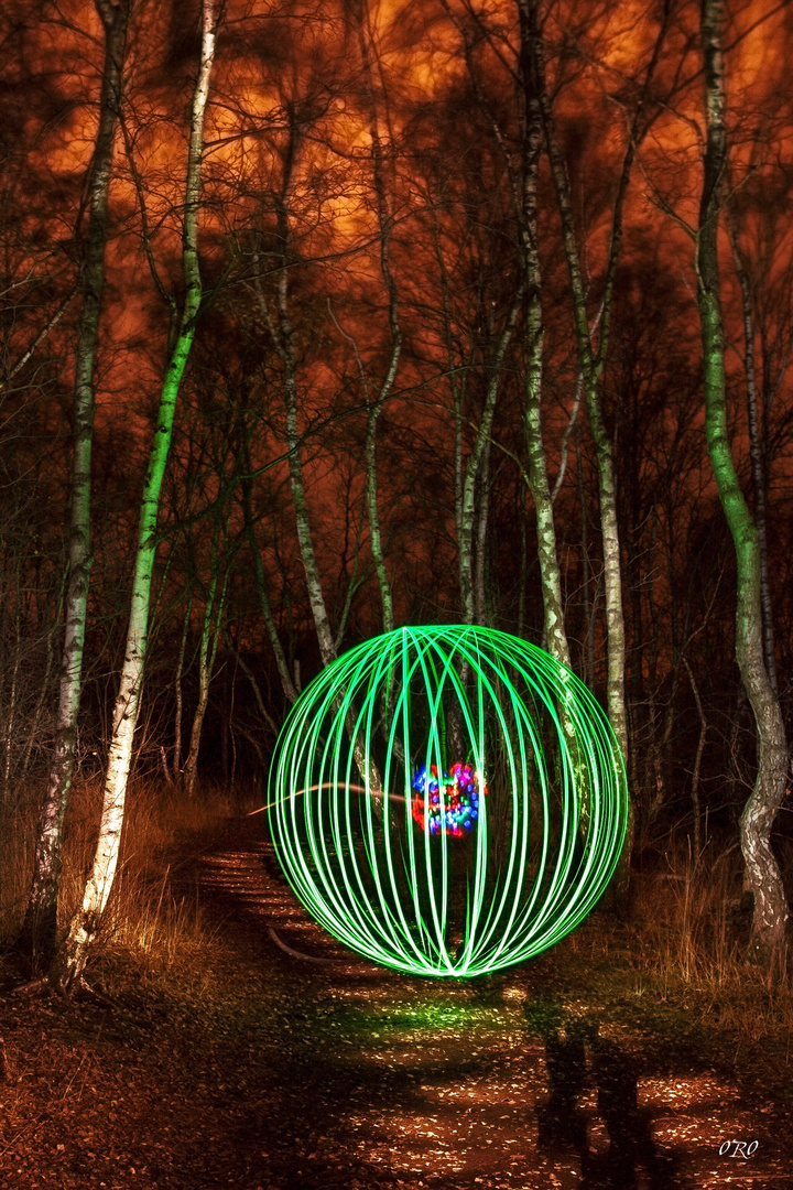 Orb im Wald